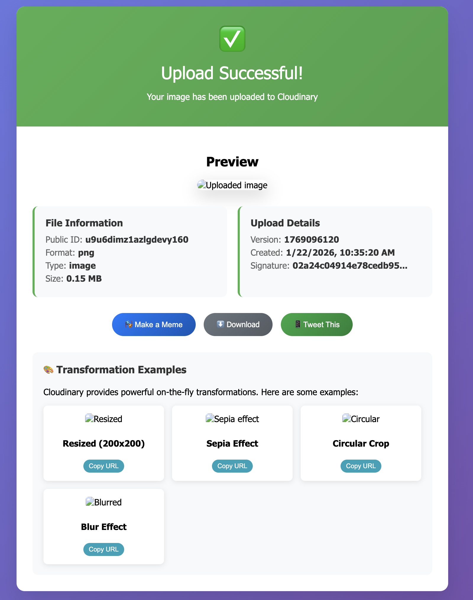 mcp app csp issue